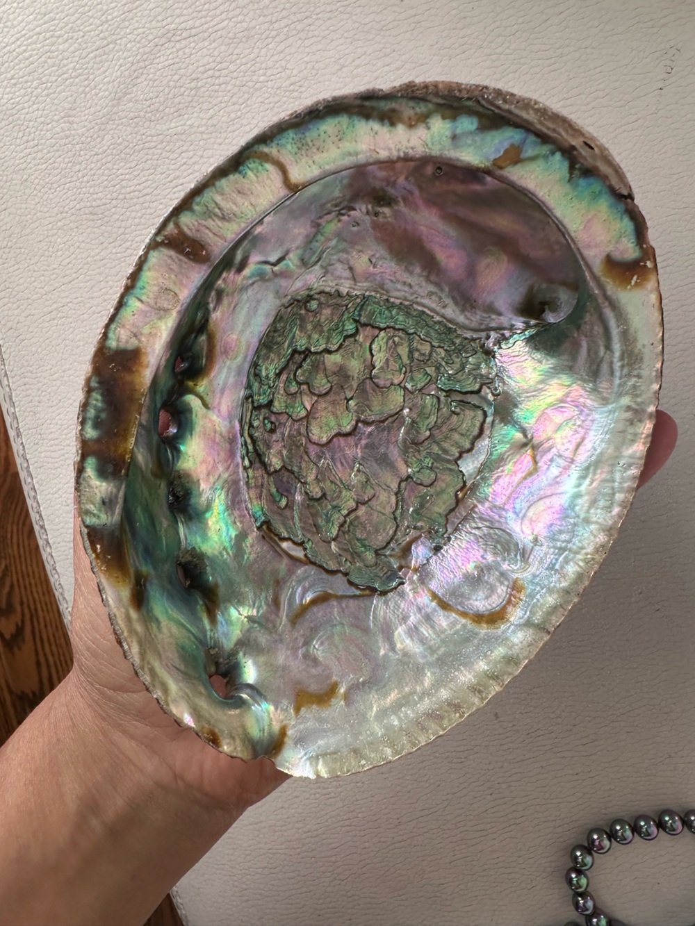 Iridescent Abalone Natural Shell Decorative Small Bowl - Natural Multicolor